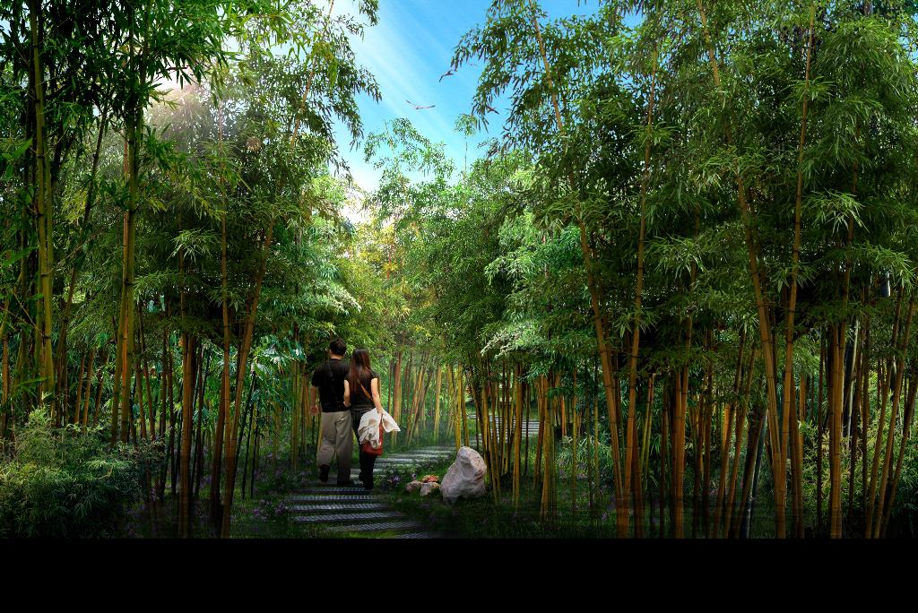 竹林污好色先生视频景观设计http://ydyl.easysous.com/